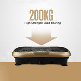 Body Workout Exercise Plate Machine
